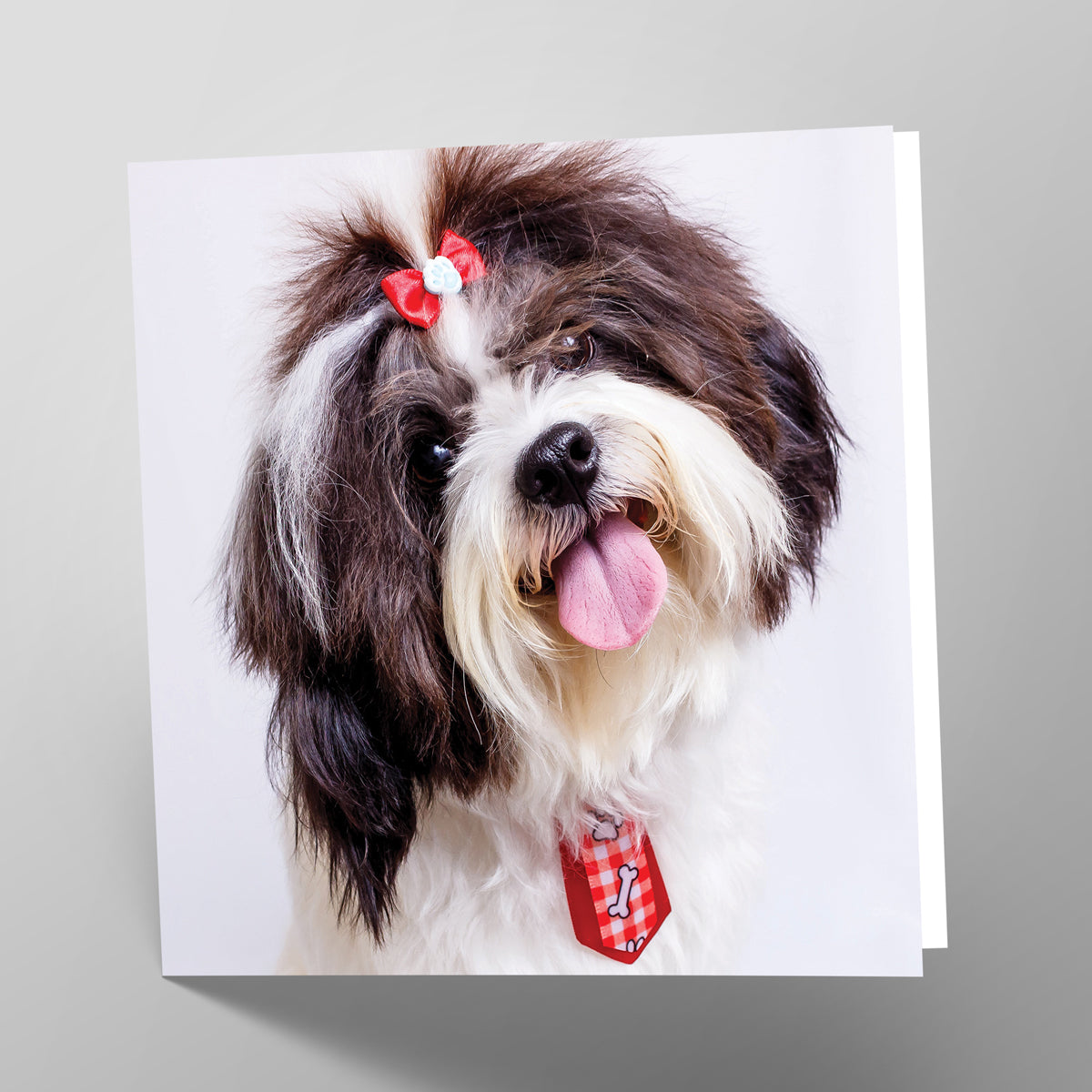 Shih Tzu Card