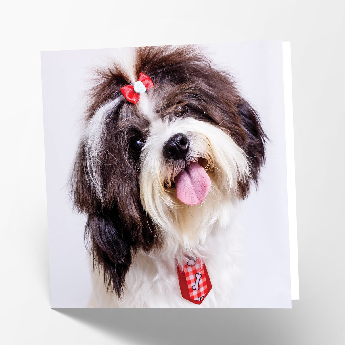 Shih Tzu Card