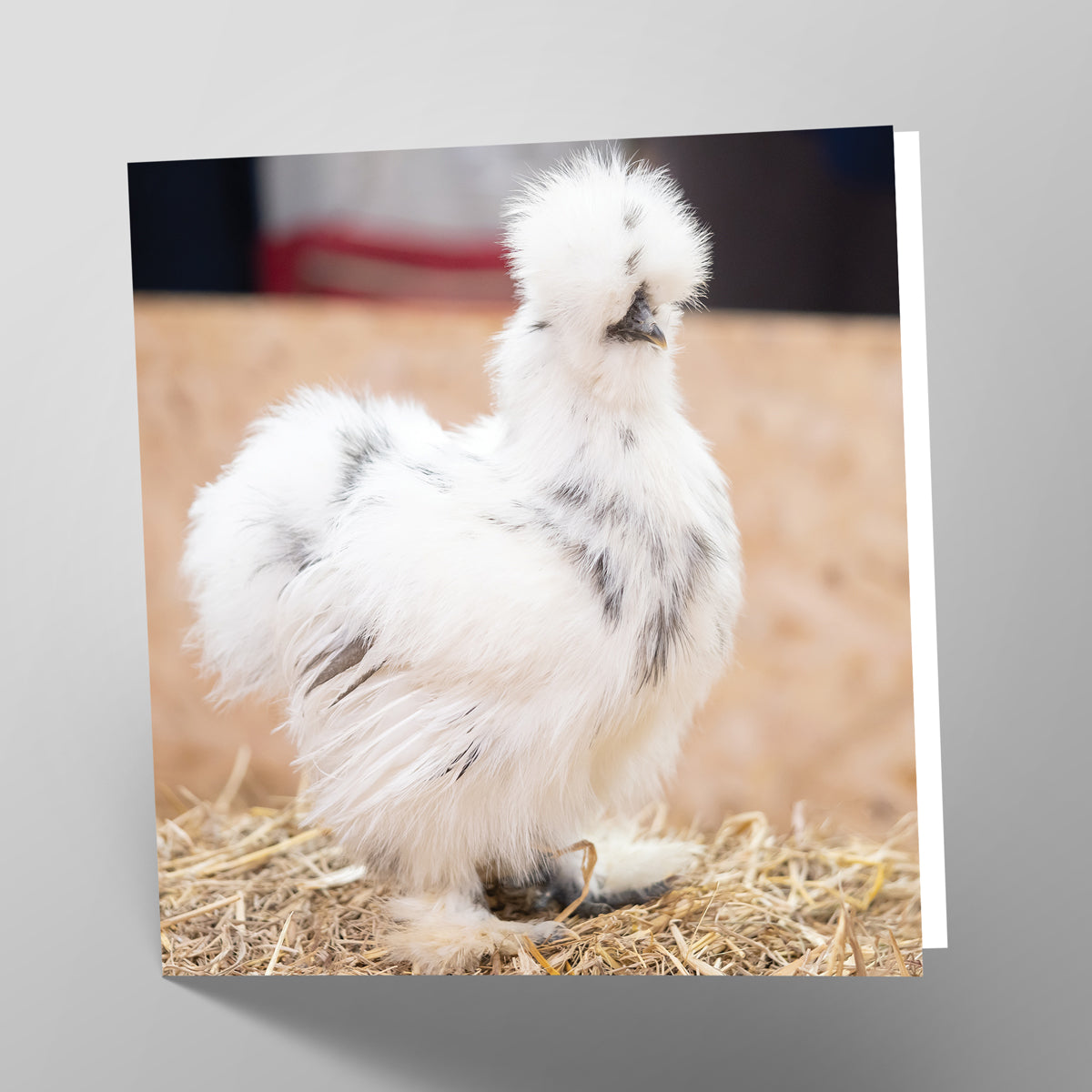 Silkie Card