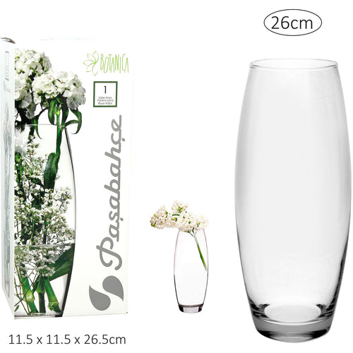 Oval Glass Vase - 26cm
