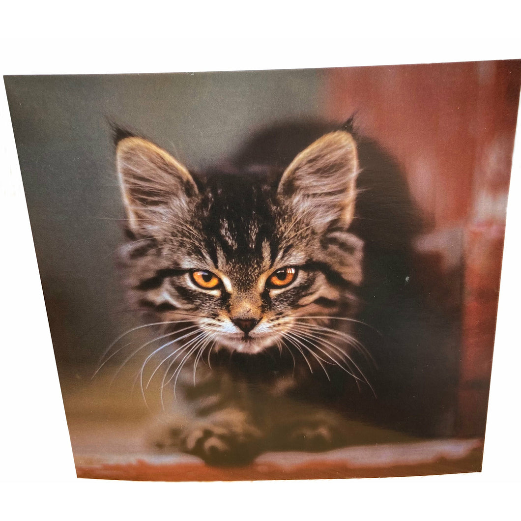 Kitten Card