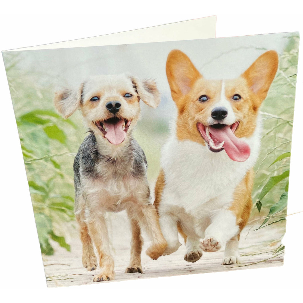 Happy Dogs Card