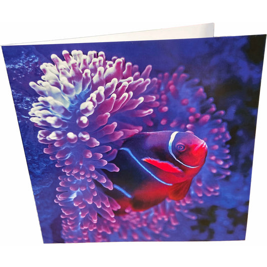 Tropical Fish Card