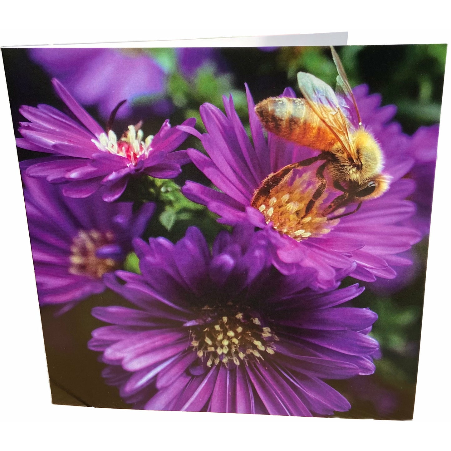 Bee and Flower Card
