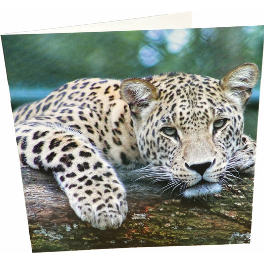 Leopard Card