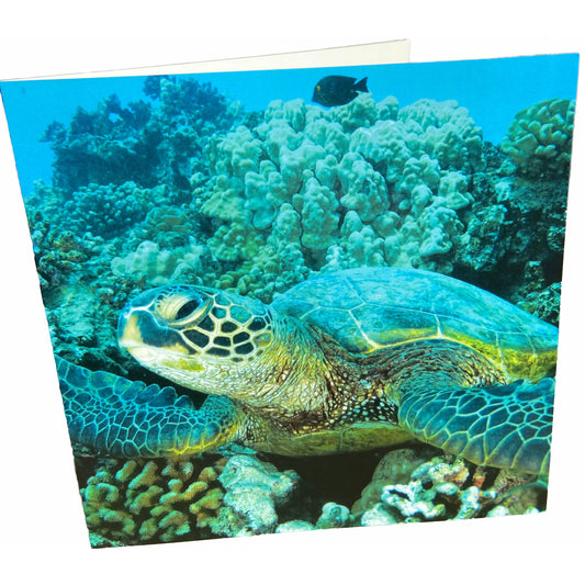 Sea Turtle Card