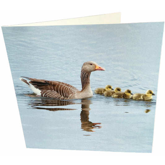 Geese Family Card