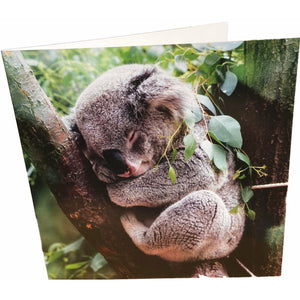 Koala Card