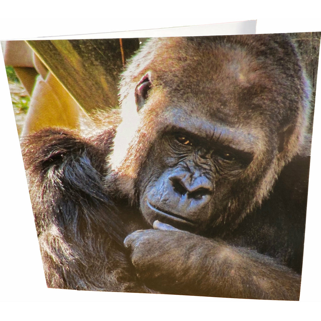 Thinking Gorilla Card