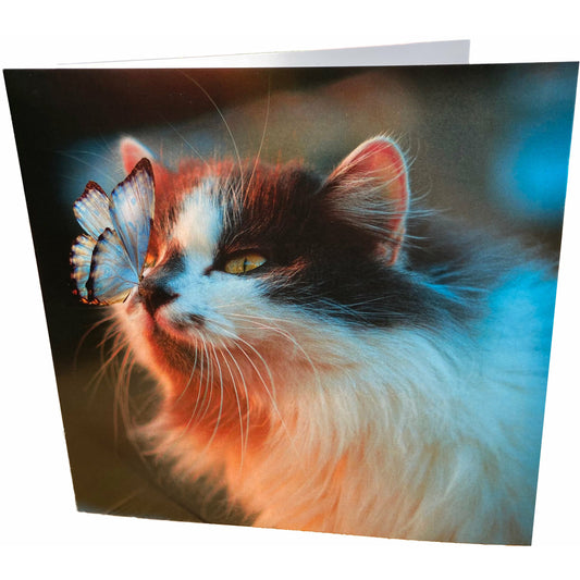 Cat and Butterfly Card