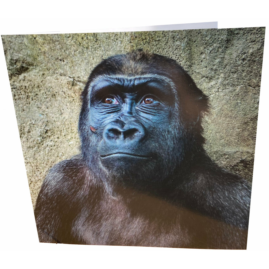 Gorilla Card