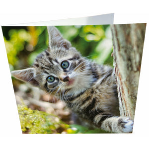 Hiding Kitten Card