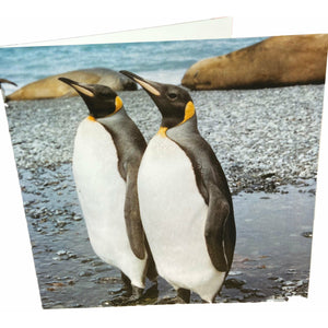 Penguin Couple Card