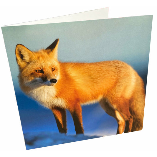 Fox Card