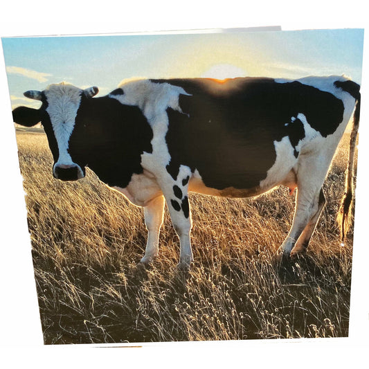 Dairy Cow Card