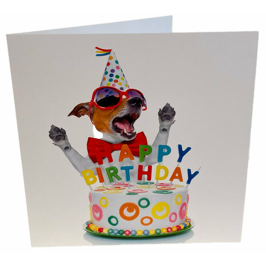 Happy Birthday Dog Card