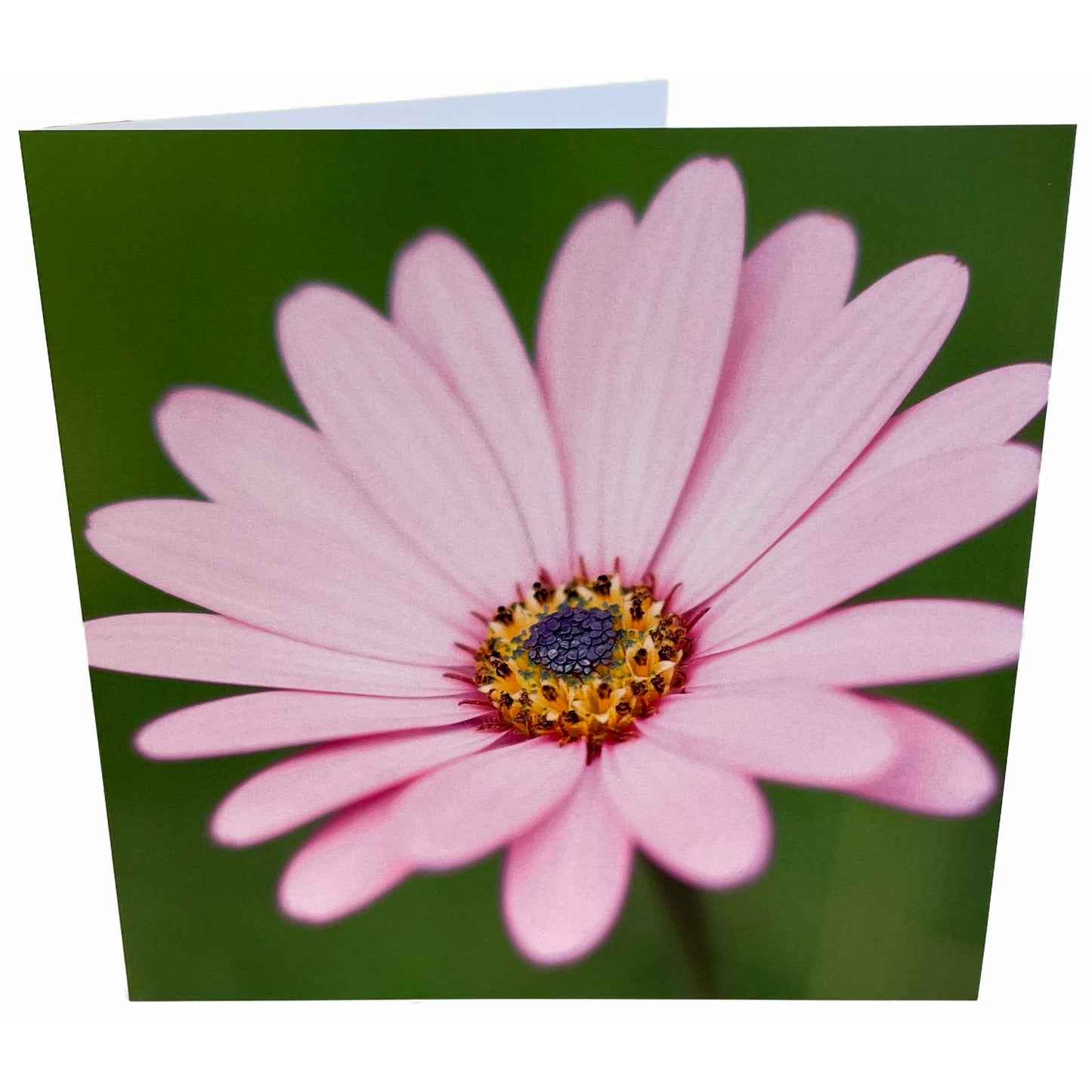 Flower Card