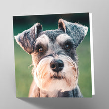 Load image into Gallery viewer, Schnauzer Card