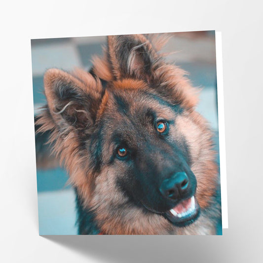 German Shepherd Card