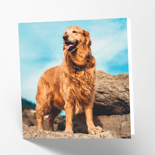 Golden Retriever Card