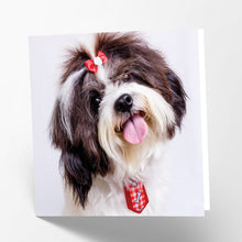 Load image into Gallery viewer, Shih Tzu Card