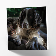 Load image into Gallery viewer, Springer Spaniel Card