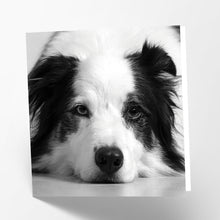 Load image into Gallery viewer, Border Collie Card
