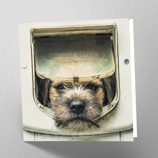 Border Terrier Card