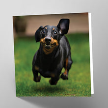 Load image into Gallery viewer, Dachshund Card