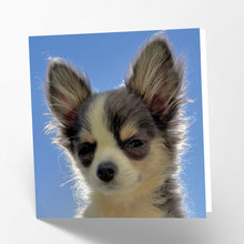 Load image into Gallery viewer, Chihuahua Card