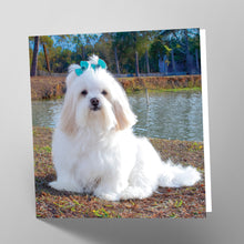 Load image into Gallery viewer, Lhasa Apso Card
