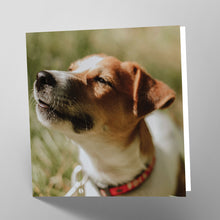 Load image into Gallery viewer, Jack Russell Card