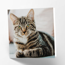 Load image into Gallery viewer, Tabby Cat Card