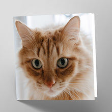 Load image into Gallery viewer, Ginger Cat Card