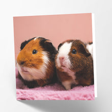 Load image into Gallery viewer, Guinea Pigs Card
