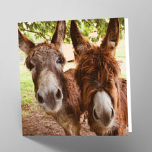 Load image into Gallery viewer, Donkeys Card