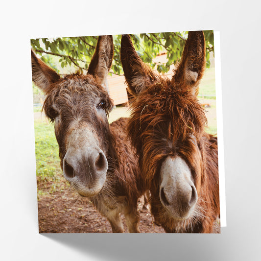 Donkeys Card