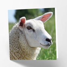 Load image into Gallery viewer, Sheep Card