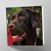 Load image into Gallery viewer, Chocolate Labrador Card