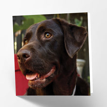 Load image into Gallery viewer, Chocolate Labrador Card