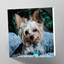 Load image into Gallery viewer, Yorkshire Terrier Card