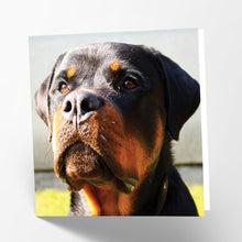 Load image into Gallery viewer, Rottweiler Card