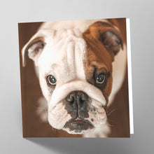 Load image into Gallery viewer, British Bulldog Card