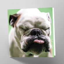 Load image into Gallery viewer, British Bulldog Card