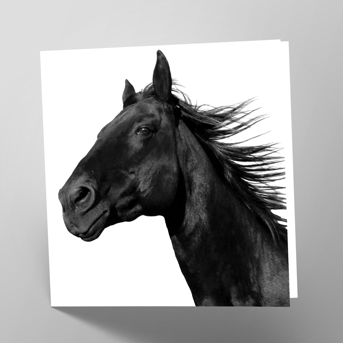 Black Horse Card