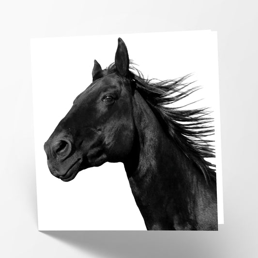 Black Horse Card