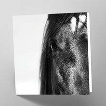 Load image into Gallery viewer, Black Horse Card