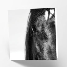 Load image into Gallery viewer, Black Horse Card