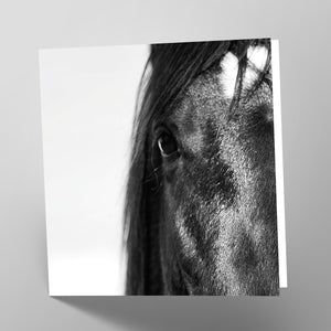 Black Horse Card
