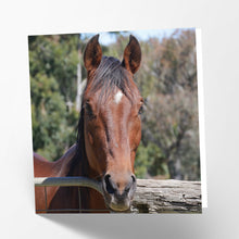 Load image into Gallery viewer, Bay Horse Card